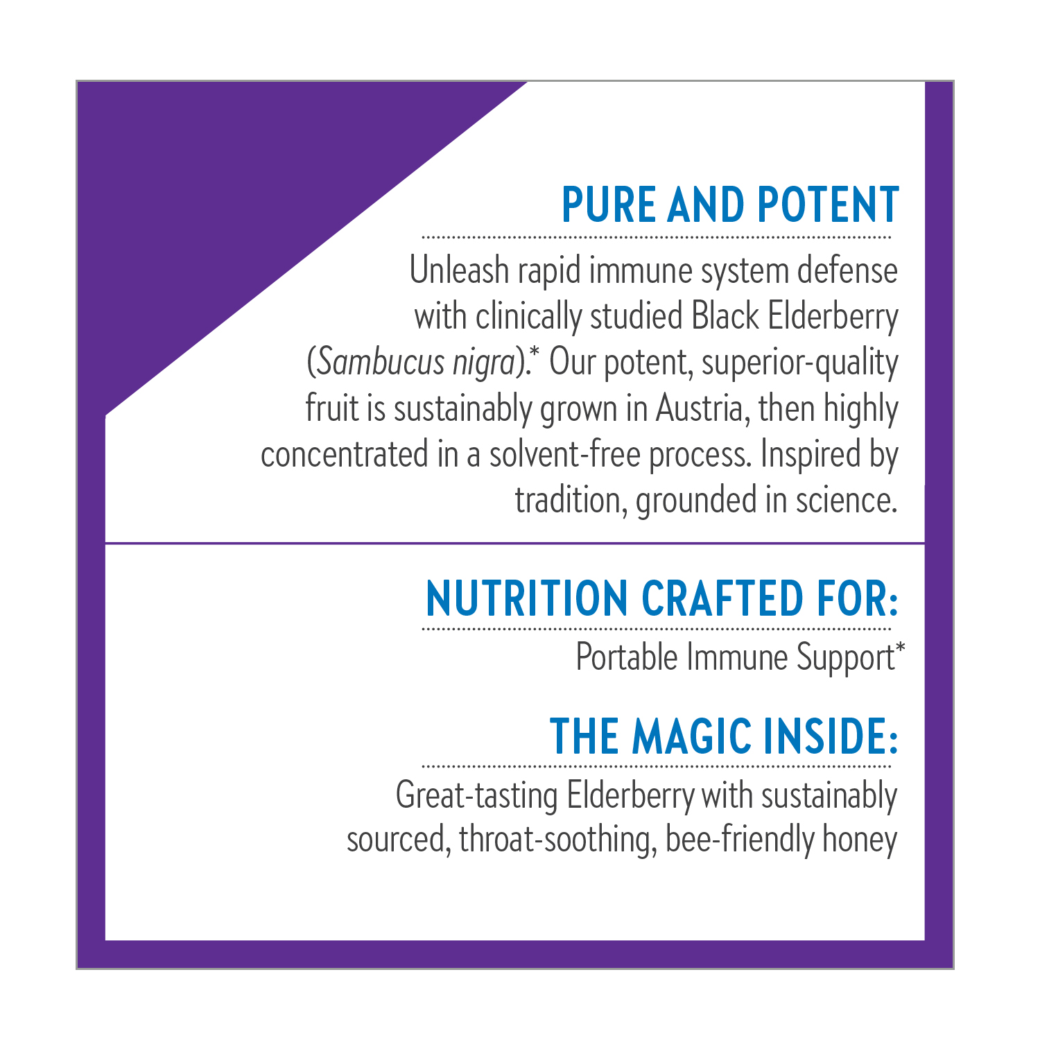 (image for) Elderberry Powder + Honey 34.50 gm